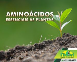 aminoácidos essenciais às plantas